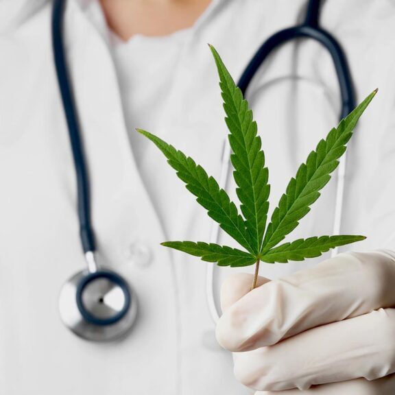 Doctor holding cannabis leaf